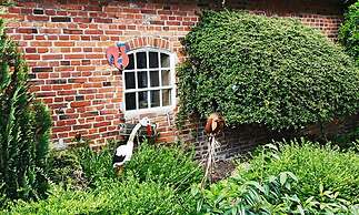 Ponyhof Naeve am Wittensee