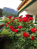 Appartementhaus Zillertal