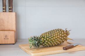 Papaya Studio