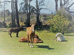 Stoneridge Farm