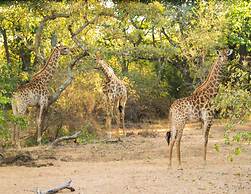 Abelana Safari Camp