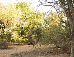 Abelana Safari Camp
