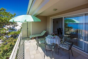 Apartments Robic