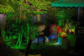 Palms Villa
