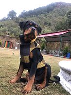 Nakshatra Resort Shimla