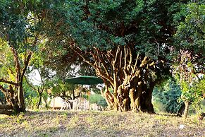 Jambo Mara Safari Lodge