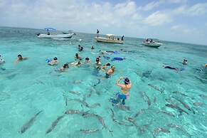 Belize Dive Haven
