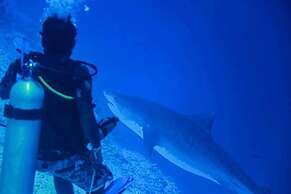 Scuba Residence