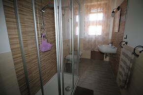 B&B Libellula