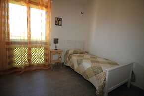 B&B Libellula