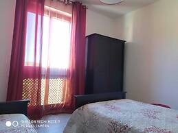 B&B Libellula