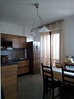 B&B Libellula