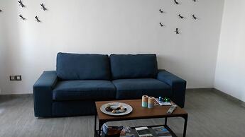 B&B Libellula