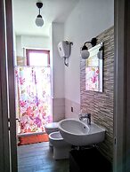B&B Libellula