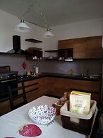 B&B Libellula