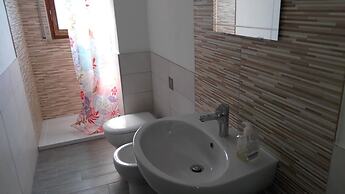 B&B Libellula