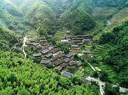 Natural Lodge Homestay