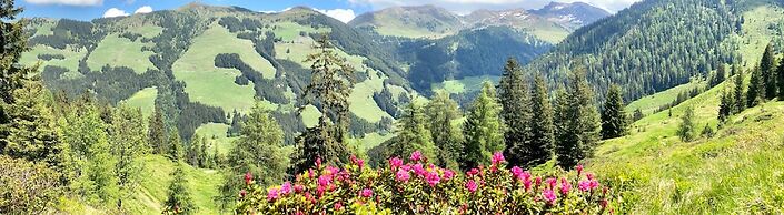 Alpbach Bergwald Apartments
