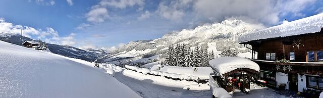 Alpbach Bergwald Apartments