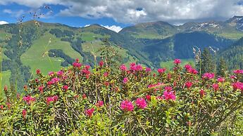 Alpbach Bergwald Apartments