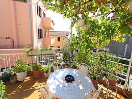 Apartments Feda