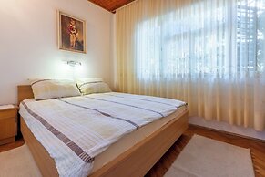 Apartments Hinic