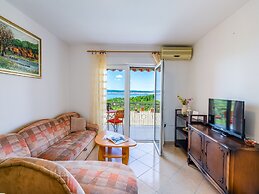 Apartment Nenad