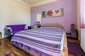 Apartments Senka