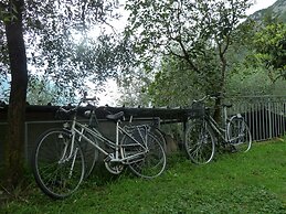 Camping Alpino