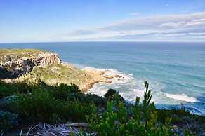 Mossel Bay Muse