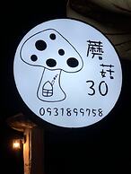 Mushroom 30