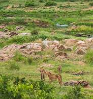 Jacana River Lodge