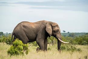 Jacana River Lodge