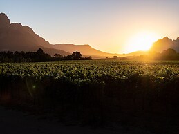 Lynx Wine Estate