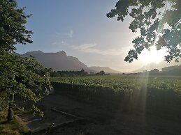 Lynx Wine Estate