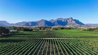 Lynx Wine Estate