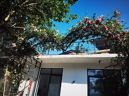 Tujia folk houses