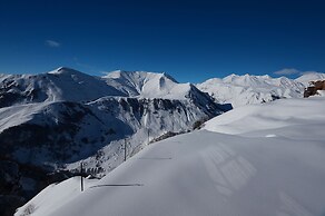 Hotel Monte Gudauri