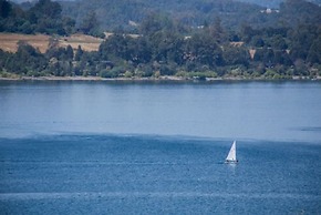 Puchaley Lafquen