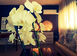 Hotel Caraibi