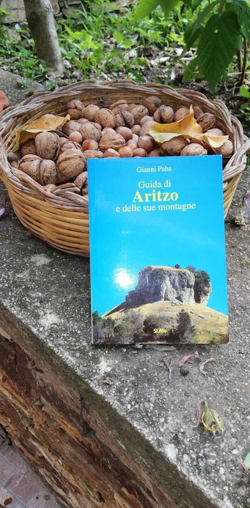 L'Agrifoglio