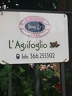 L'Agrifoglio