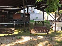 Oasis