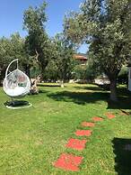 Oasis