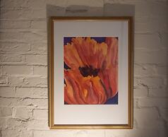 No1 Dove Street