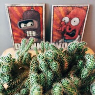MalinaApt Futurama