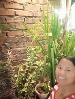 Phi Hung's Unique homestay