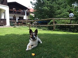 Penzion Pazicky