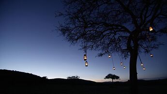 Asanja Grumeti