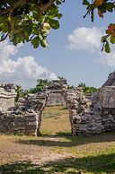 Nest Tulum
